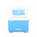 6L Small Portable Plastic Cooler Box