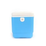 12L Refrigerated box for medicament with temperature indicator
